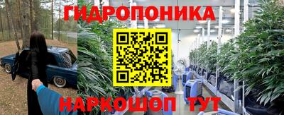 СК Балаково