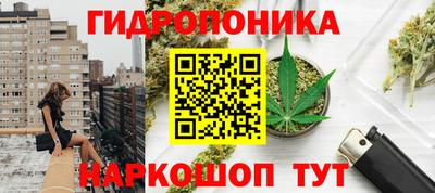 крисы Балашиха